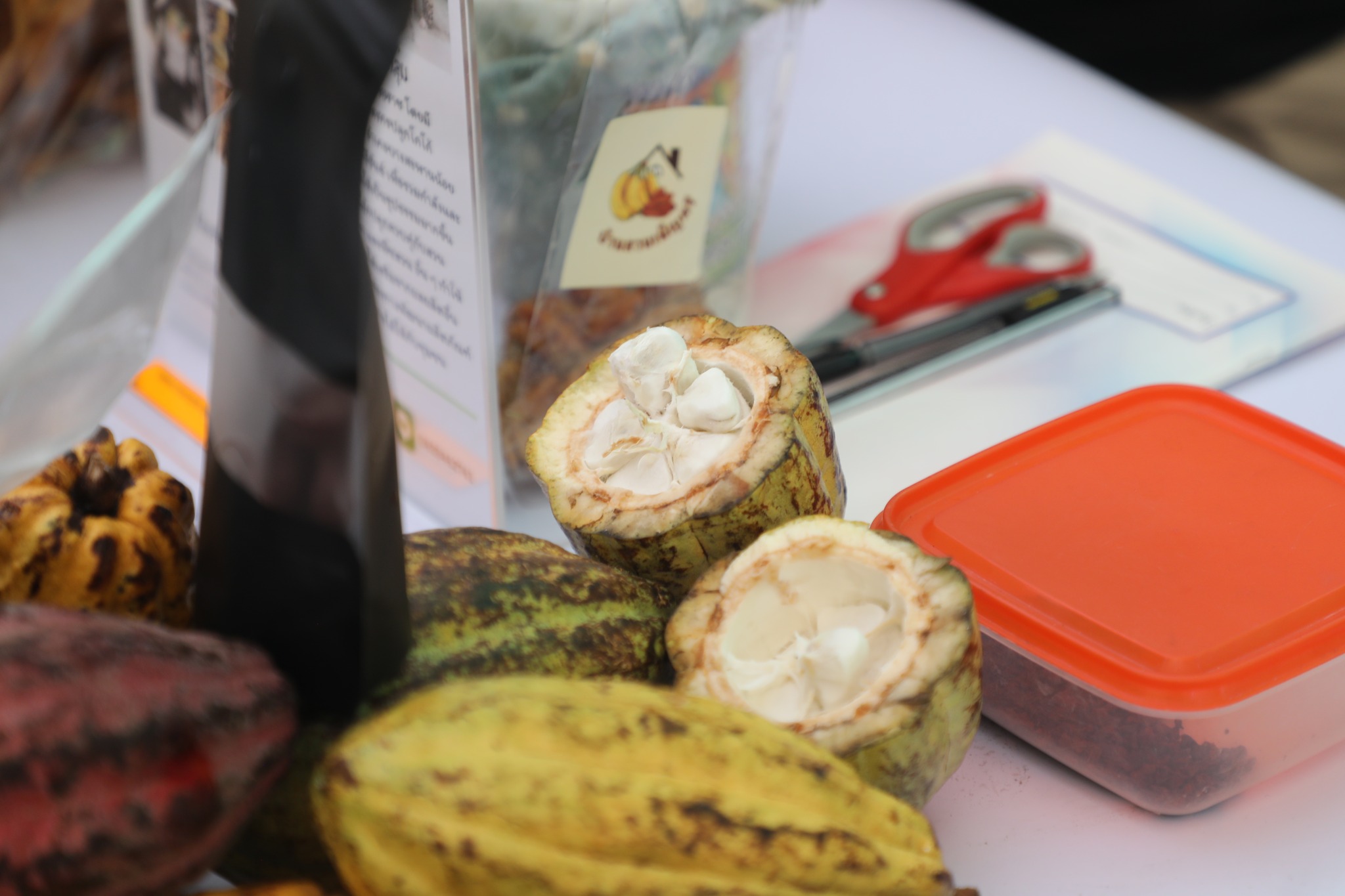 title - ปลัดกระทรวงเกษตรฯ และผู้บริหาร ส.ป.ก. เยี่ยมชมร้านค้า ในงานวันคล้ายวันสถาปนา ส.ป.ก. ครบรอบ 51 ปี